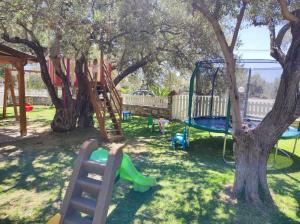 a playground with a tree and a swing at Rent Rooms Alexiou in Límni