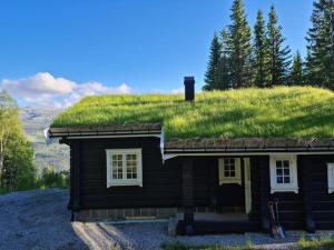 una pequeña casa con césped en el techo en Flott fjellhytte ned fantastisk utsikt., 