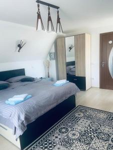 a bedroom with a large bed and a mirror at Casa Cataleya in Bucşoaia