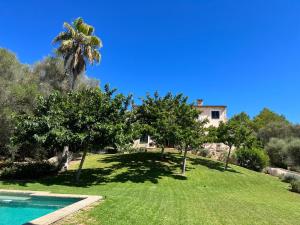 une maison avec un palmier et une piscine dans l'établissement Finca Porto Cristo - Es Bosquet, à Manacor