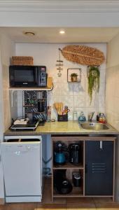 L'Instant Mer - Bord de Mer - Studio avec grand jardin à La Capte في هييريس: مطبخ مع حوض و كونتر توب