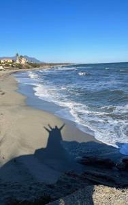 a shadow of a person on the beach at Appartement 2 pièces bord de mer in Linguizzetta