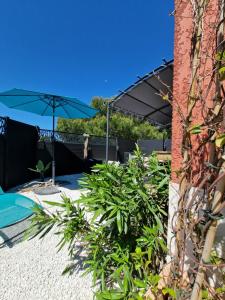 patio z niebieskim parasolem i roślinami w obiekcie L'Instant Mer - Bord de Mer - Studio avec grand jardin à La Capte w Hyères