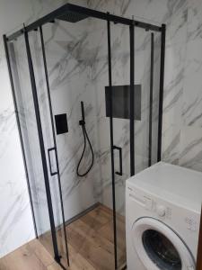 a shower in a bathroom with a washing machine at Domek przy drodze in Chyżówki +1 photo