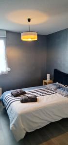 ein Schlafzimmer mit einem großen Bett mit einer Lampe darüber in der Unterkunft 2 Chambres-Phonique-Parking sécurisé-Climatisation-DALLE BETON- Géré par Presta-Zen'Services in Verdun-sur-Meuse