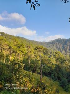 宾萨尔Joshi Cottage Binsar的相册照片