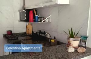 a kitchen with a counter top with a sink and a plant at APARTAMENTO NO CENTRO DE BUZIOS in Búzios +27 photos