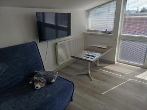 TV a/nebo společenská místnost v ubytování Apartmán na Vyhlídce