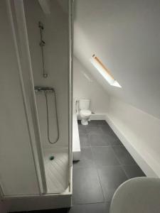 een badkamer met een douche en een toilet bij Appartement proche de Paris et l aeroport in Sevran