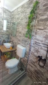a bathroom with a toilet and a glass shower at Luštica Apartments in Luštica