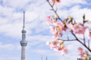 东京浅草指月日式旅馆的相册照片