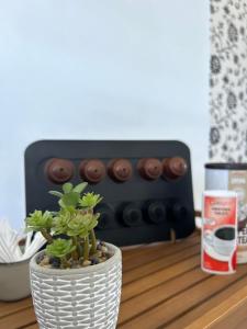 a plant in a vase on a table with a radio at Apartman Gold LUX in Surčin