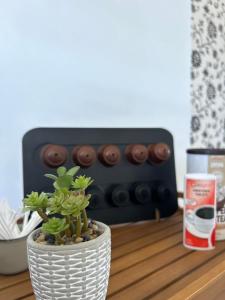 a plant in a vase on a table with a radio at Apartman Gold lux in Surčin