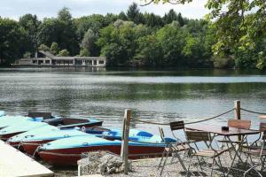 un grupo de barcos estacionados en un muelle en un lago en Sonnenschein Chalet, en Buxheim