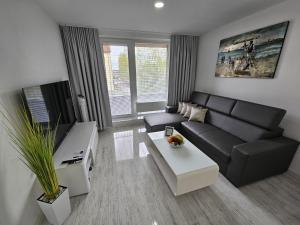 Televízia a/alebo spoločenská miestnosť v ubytovaní Apartmány Urban