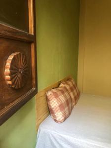 a bag sitting on a bed in a green room at Hospedaje el Jaguar Pacífico in Antigua Guatemala