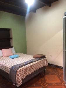 ein Schlafzimmer mit einem Bett in einem Zimmer in der Unterkunft Hospedaje el Jaguar Pacífico in Antigua Guatemala