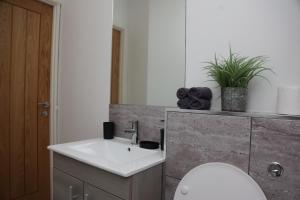 a bathroom with a white sink and a toilet at Modern and Comfy in City Centre PS4 , Free On Street Parking ,Walking Distance To Bus, Train Stations And Shopping Centres in Leicester