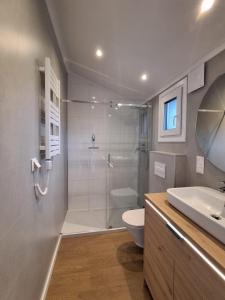 a bathroom with a shower and a toilet and a sink at LandZeit - get your tiny moments in Sohren