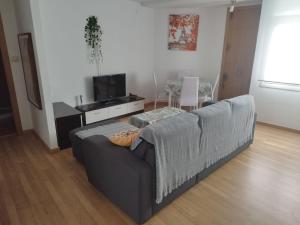 uma sala de estar com um sofá e uma televisão em Precioso Apartamento en Baiona Zona Centro em Baiona