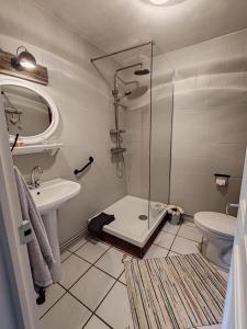 a bathroom with a shower and a sink and a toilet at Bed and Breakfast Les Airelles in Val-des-Prés
