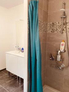 uma casa de banho com uma cortina de chuveiro azul ao lado de um lavatório em Charmante maison de vacances en Luberon em Beaumettes