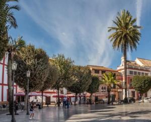 a town square with palm trees and buildings at Apartamento Karmo in Carmona