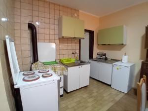 a kitchen with a white stove and a refrigerator at Smeštaj Vesna in Bajina Bašta