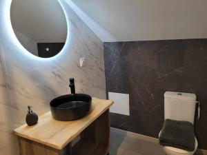a bathroom with a sink and a mirror and a toilet at Gîte Forêt Vosgienne gitesdes2vallées in Saint-Maurice-sur-Moselle +27 photos