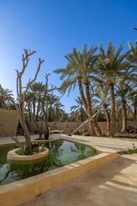 a swimming pool with palm trees in a yard at Olive Garden House Siwa in Siwa
