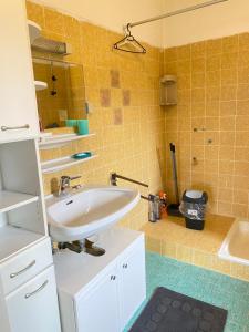 uma casa de banho com um lavatório e um espelho em Appartment nähe Linz em Puchenau