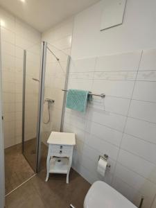 a bathroom with a shower and a toilet and a sink at LeinenLos im Kajüting in Dierhagen