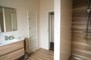 een badkamer met een wastafel en een douche bij Landidylle in Nalbach