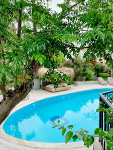 a tree in front of a blue swimming pool at Villa Sophia Marmaris in Marmaris