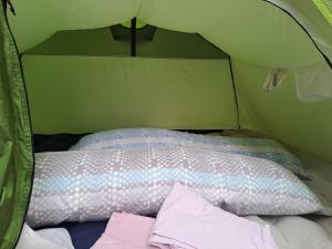 a bed in a green tent with a pillow at Camping Valle del Andarax in Fondón