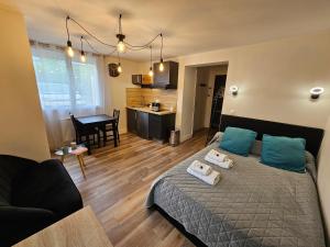 a bedroom with a bed and a living room at Au 3 rue Manhès in Albi