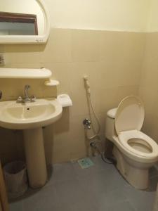 a bathroom with a toilet and a sink at Hunza Hilton Hotel Gilget Baltestan in Gilgit