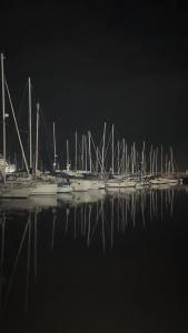 a group of boats docked in the water at night at Waterlife in Lisbon