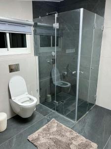 a bathroom with a toilet and a glass shower at פנטהאוז השומר in Tiberias