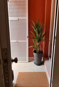 a potted plant sitting on the floor next to a door at LAAN Los pinos in Alcalá de Henares