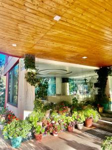 un mucchio di piante in vaso sui gradini di un edificio di Sea Hawk - Luxury Hill Resort 4 mins from Bhimtal Lake a Bhimtal