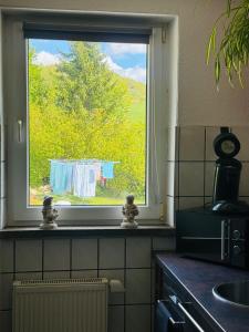 a window in a kitchen with a towel hanging on a clothes line at Silkes FeWo 
