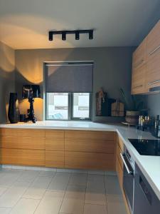 Kuchyň nebo kuchyňský kout v ubytování LL Properties - L19 Spacious Boutique Apartment + 31 fotografií