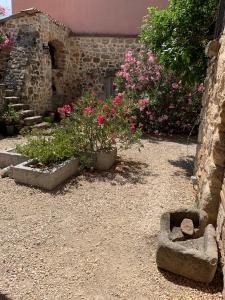 un giardino con alcuni fiori rosa e alcune rocce di Mas Héritage a Rosières