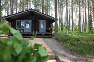 a small cabin in the woods with a wooden walkway at Putkisalon Kartano Tallimestari in Rantasalmi
