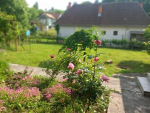 een tuin met roze bloemen naast een bankje bij Studio Vrujci 2 in Rakari