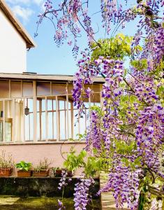 a tree with purple flowers in front of a building at Night Galleria Holiday Villa Liguria 