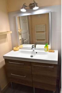 baño con lavabo y espejo grande en Appartement 3 pièces très lumineux, en Saint-Vallier