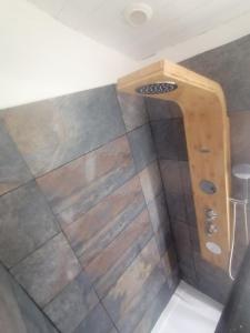 een douche met een houten douchekop in de badkamer bij Studio Sulniac Golfe du morbihan in Sulniac
