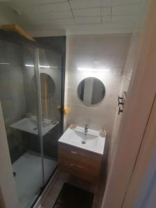 een badkamer met een wastafel en een douche bij Studio Sulniac Golfe du morbihan in Sulniac